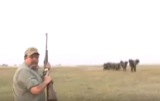 VIDEO: “Gađaj između očiju” – Lovci su im ubili predvodnika, a onda je uslijedio napad