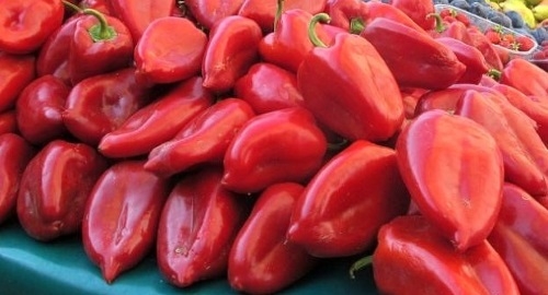 Sa granice vraćeno oko 56 tona grožđa i paprika