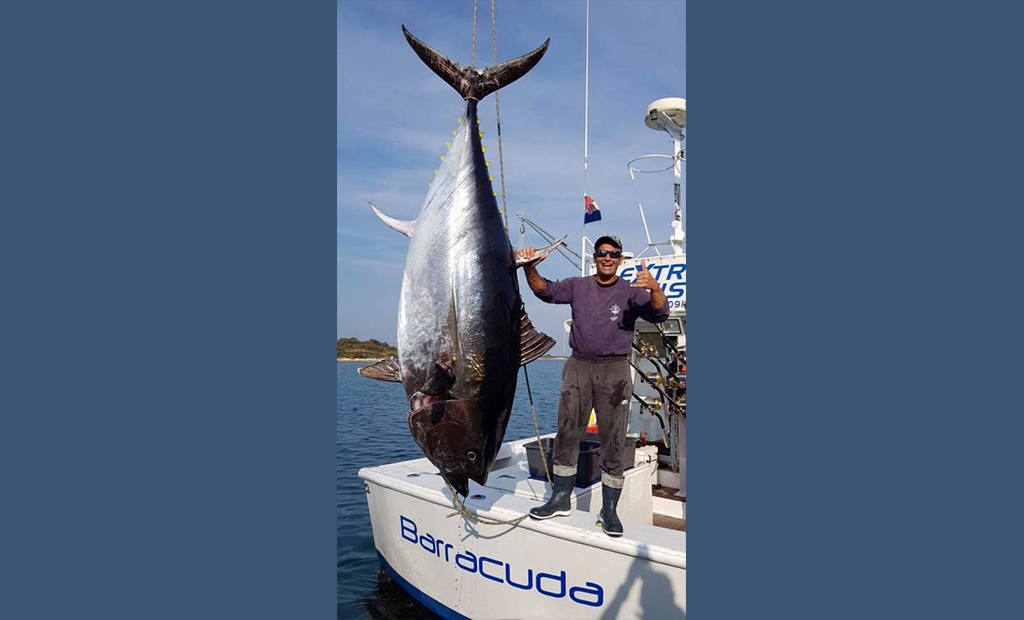U Jadranskom moru ulovili tunu od čak 317 kilograma
