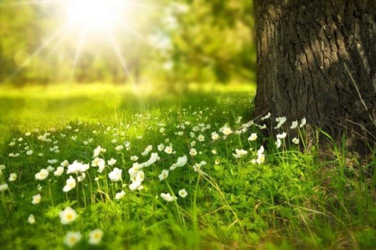 I danas sunčano i toplo, do 29 stepeni