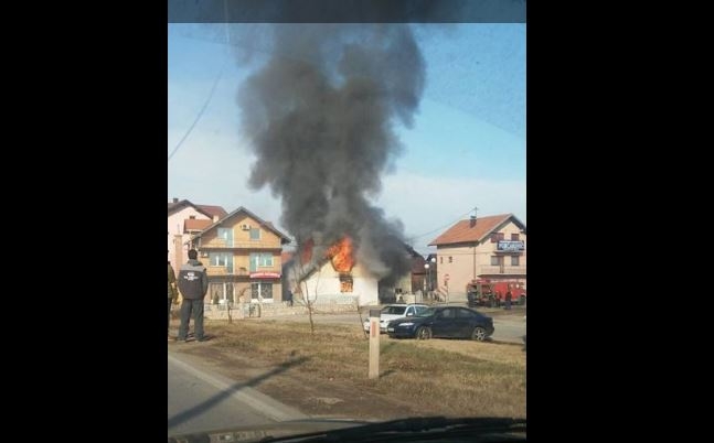 Pas žrtvovao svoj život da bi spasio dječaka