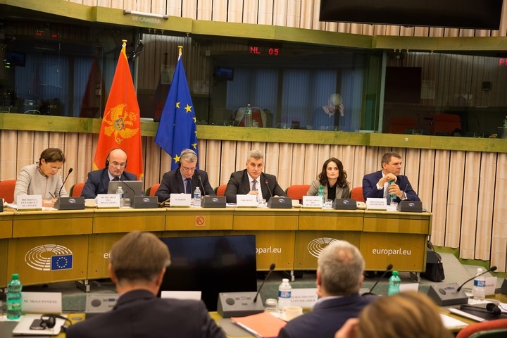 Brajović u Strazburu: Ambiciozni zadaci Odbora za reformu izbornog zakonodavstva potvrda ozbiljnosti Skupštine