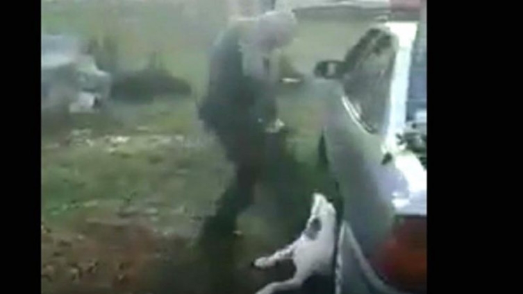 Uznemirujući video: Uhapšen muškarac koji je brutalno tukao pse