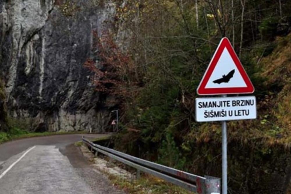 U Bosni i Hercegovini imaju saobraćajni znak upozorenja na šišmiše!