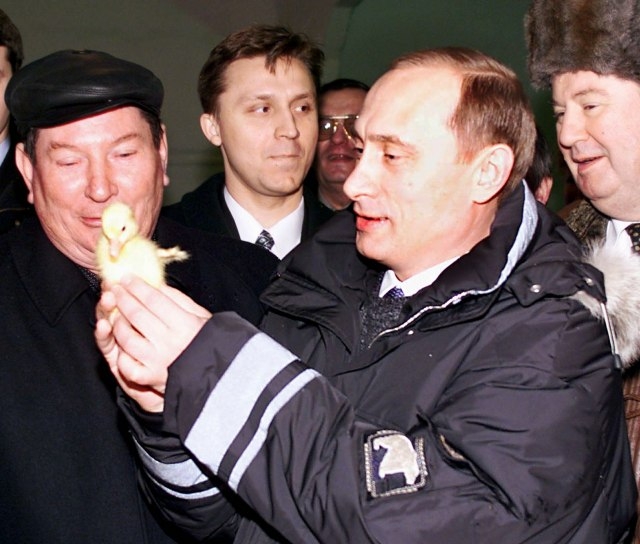 Putin ima plan – vaskrsava super piletinu