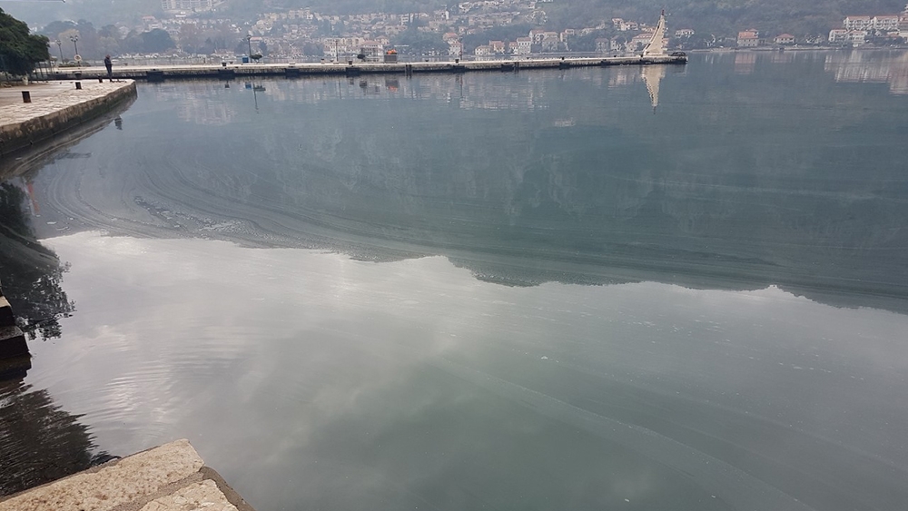 Kotor: Neko prosuo jestivo ulje u rijeku, završilo u moru