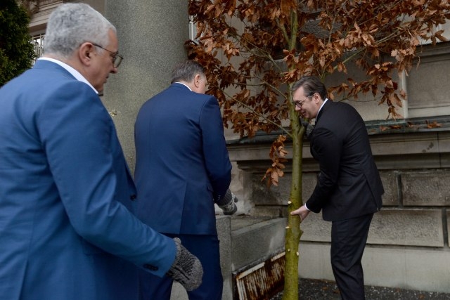 Vučić sa Mandićem, Kneževićem, Danilovićem i Dodikom unio badnjak u zgradu Predsjedništva Srbije