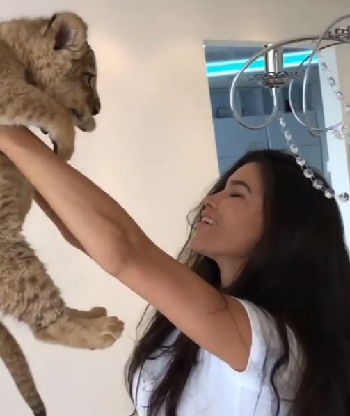 Bogatoj djeci Instagrama ljubimci su ALIGATORI I TIGROVI