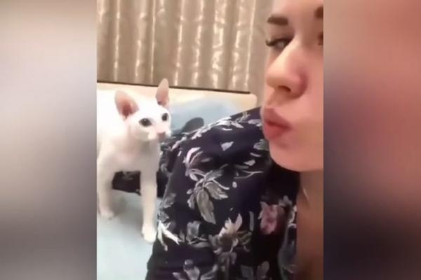 VIDEO: Dok se pućila da napravi selfi, mačka joj opalila šamarčinu