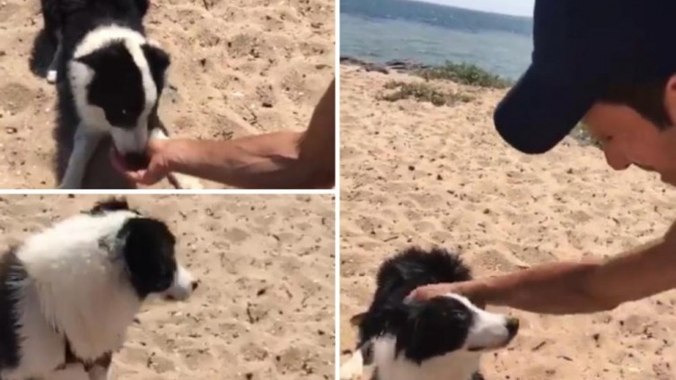 Đoković na plaži u Melburnu naišao na psa pa ga nahranio