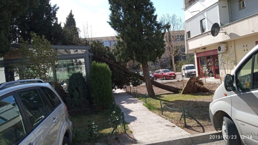 Podogrica: Sve nadležne službe od ponoći rade na otklanjanju posljedica nevremena