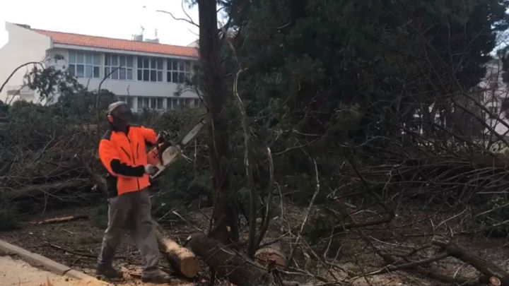 Demagogija, vrtić, čempresi i ostale priče