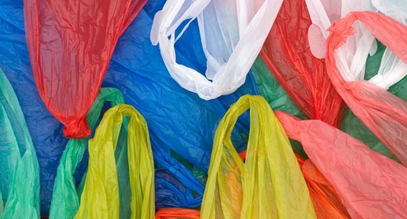 Crnogorski građani ne shvataju pogubnost upotrebe plastičnih kesa