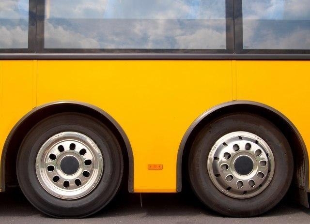 Žena bez dozvole vozila autobus na liniji BG – Subotica