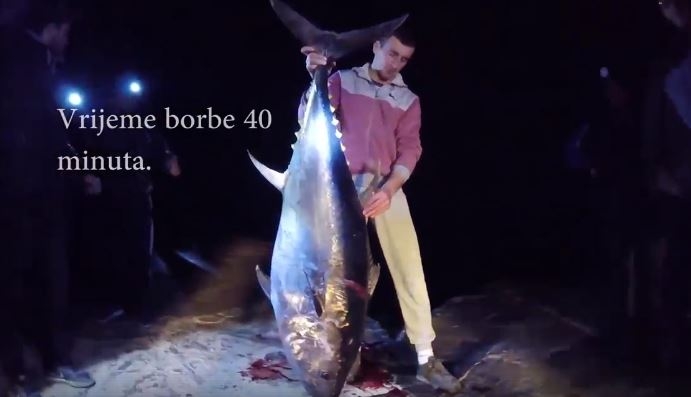 Ulcinj: Dalibor ulovio tunu tešku 73 kg!