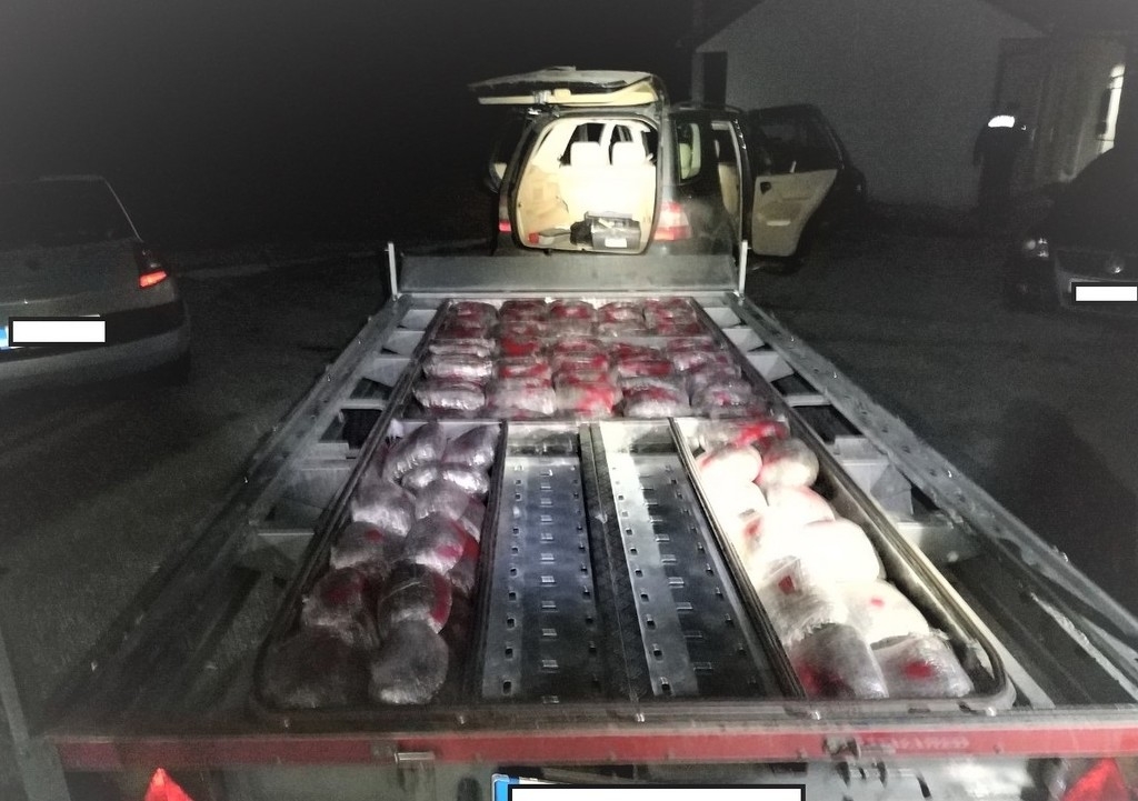 Vraćenovići: Zaplijenjeno 93 kg marihuane, uhapšen Beograđanin