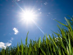 Sjutra sunčano, temperatura do 20 stepeni