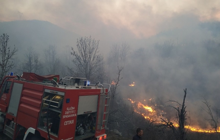 Cetinje: Gori šuma, vatrogasci na terenu