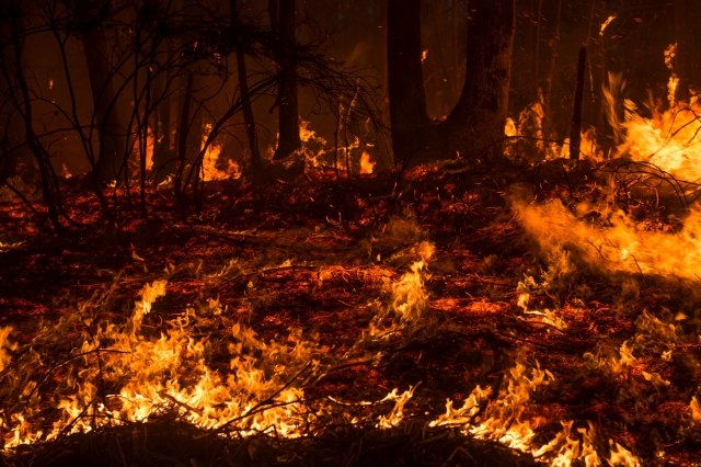 Požar u Gračanici, uzrok ljudski faktor