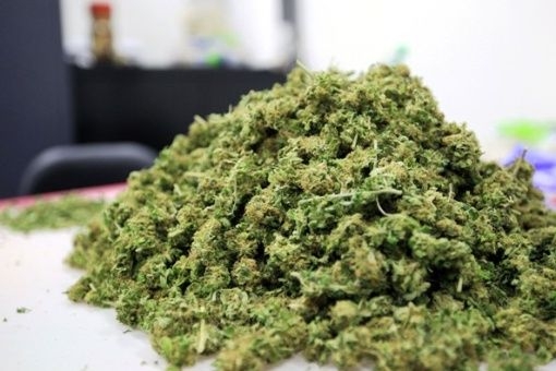 Podignuta optužnica protiv Nikšićana koji su prevozili 210 kilograma kanabisa
