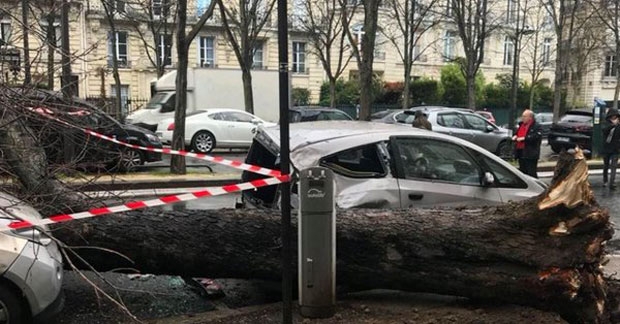 Oluja u centralnoj Evropi: U Njemačkoj jedna osoba poginula, u Poljskoj petoro povrijeđeno