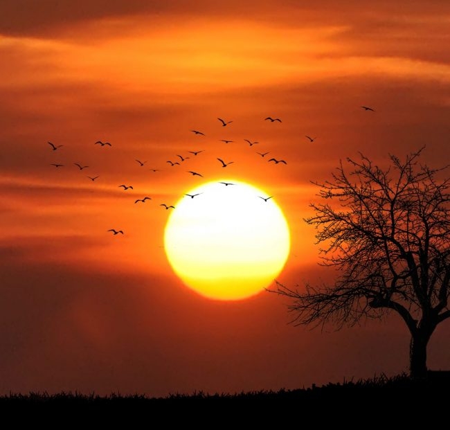 Kinezi će do kraja godine da naprave vještačko Sunce
