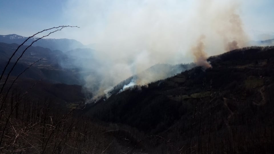 Kolašin: Veliki požar prema Seocu, vatra prijeti i objektima