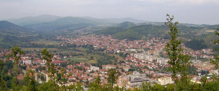 Srbija: Prevrnuo se traktor, stradao jedanaestogodišnji dječak