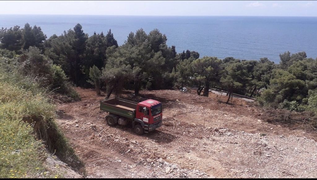 URA Ulcinj: Novi ekološki skandal – devastatirana Borova šuma