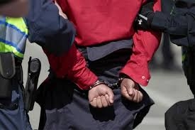 Masovna hapšenja migranata u Sloveniji: Za 2 dana 111 uhapšeno, 30 vraćeno u Hrvatsku