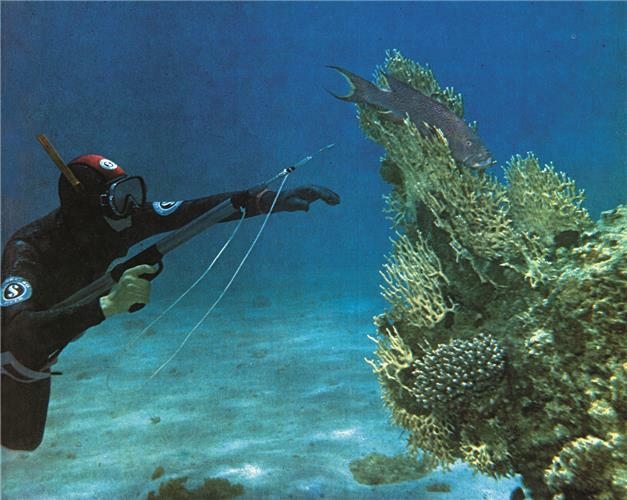 Budva domaćin međunarodnog takmičenja u podvodnom ribolovu “Budva Dive in KUP 2019″