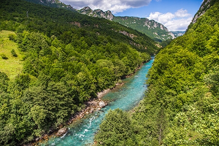 Biće provjereno da li crvena boja ugrožava živi svijet u Tari
