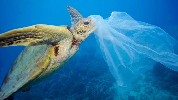 OPASNOST: Zbog plastičnih kesa do 2050. u morima će biti VIŠE PLASTIKE NEGO RIBE