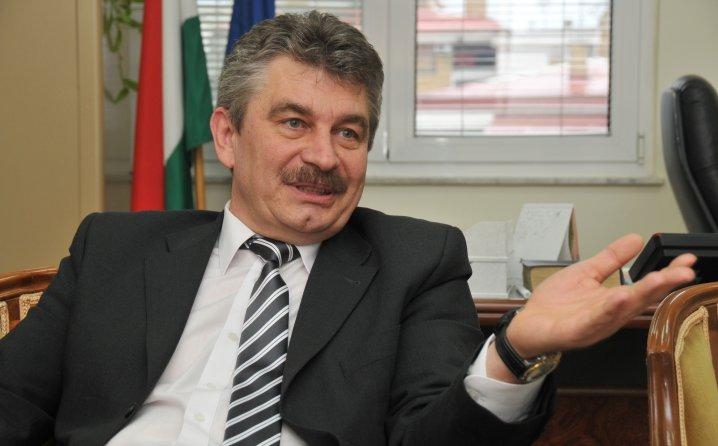 Ambasador Mađarske: Realan rok za ulazak u EU je 2025. godina