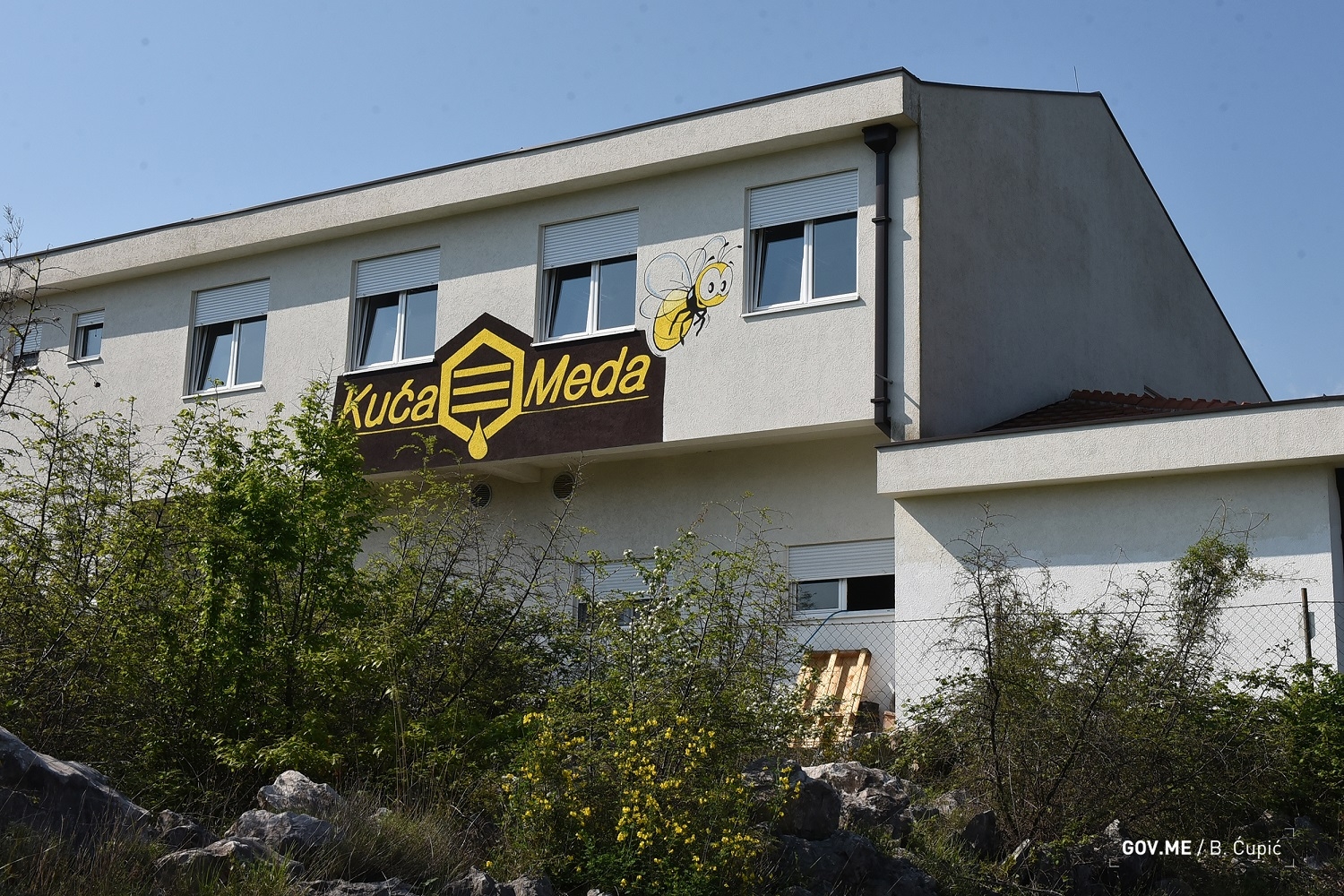 Kuća meda: Puštena u rad najsavremenija linija za punjenje i pakovanje, vrijednost oko 90 hiljada eura