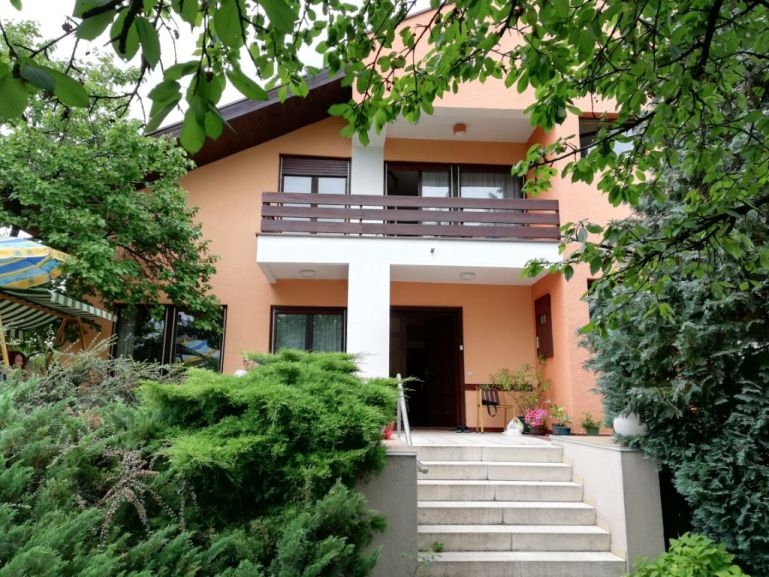 “Dođite kod nas, dobru kuću sa voćnjakom i vinogradom dobićete za 50.000 eura”