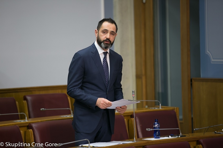 Radulović: Trpim ozbiljne pritiske zbog sprječavanja divlje gradnje