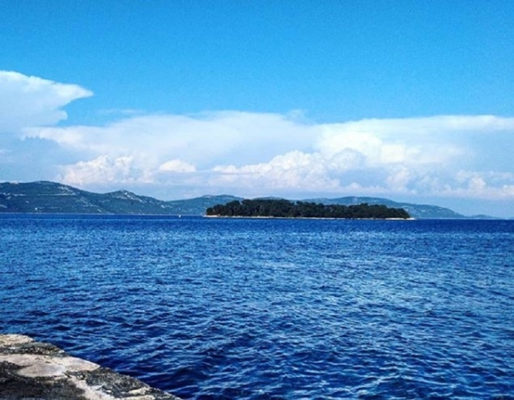 Jadran bezbjedan, najčešće povrede od ježeva
