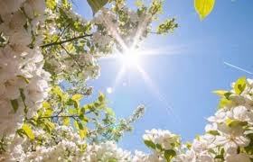 Sjutra sunčano i veoma toplo, temperatura do 37 stepeni