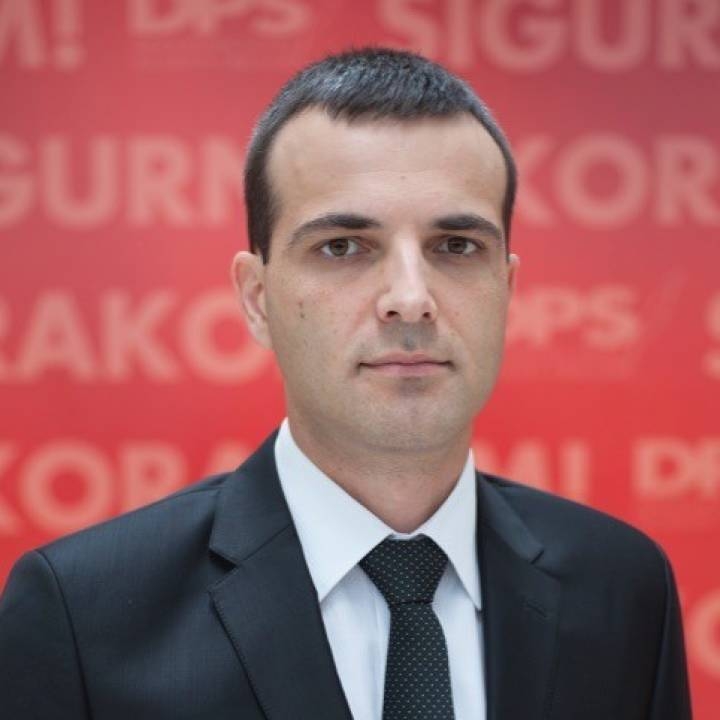Papović: Želje i realnost opozicije