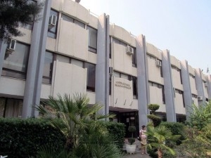 Ulcinj: Komunalna policija prodaje kravu sa teletom