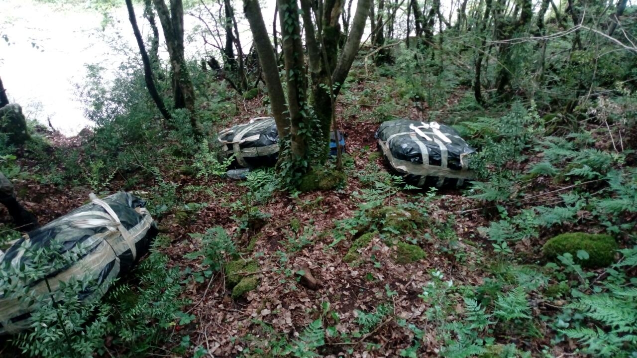 U Podgorici i Tuzima zaplijenjeno više od 85 kilograma droge: Uhapšene dvije osobe