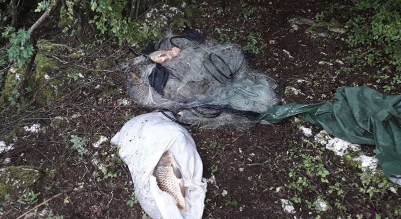 Nikšićki ribočuvari spriječili krivolov: Uhvaćeni počinioci sa oko 70 kg šarana