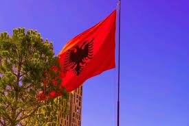 Hapšenja u Albaniji zbog uništavanja izbornog materijala
