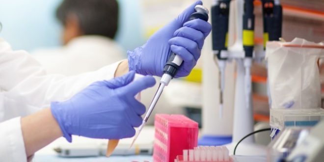 Crna Gora bez epidemiologa i pravilnika za infekcije