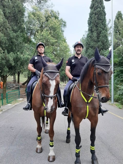 (FOTO) Policajci sa konjima čuvaju Podgoričane: Evo i na kojim reonima
