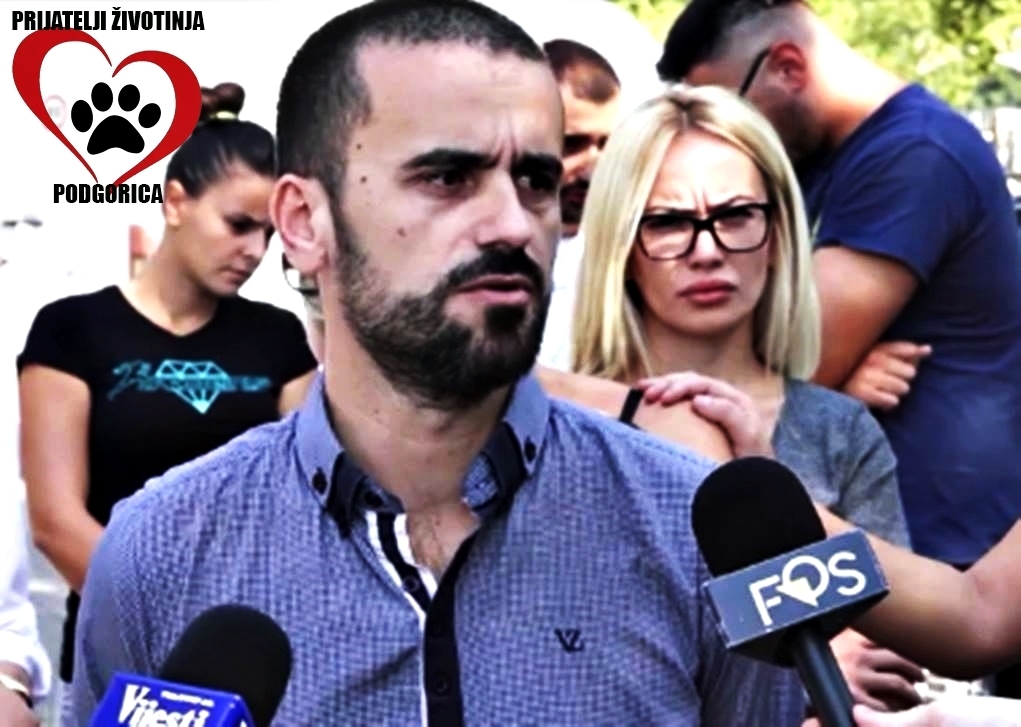 Prijatelji životinja Podgorica: Inspekcija da počne da radi svoj posao