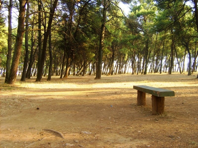 Planirana rekreativna zona, a niče višespratnica