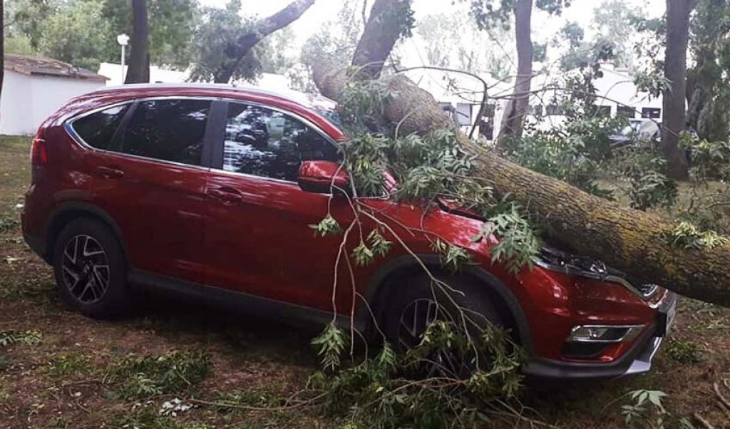 Ogromna šteta: Preko 50 automobila uništeno za 15 minuta olujnog nevremena u Ulcinju