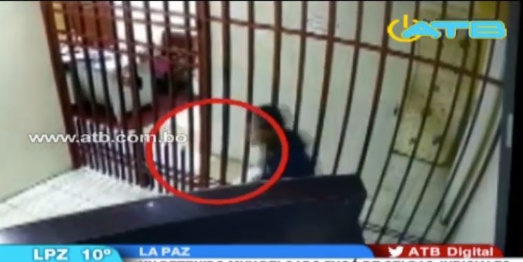 VIDEO: LOPOV se provukao kroz rešetke i pobjegao iz zatvora